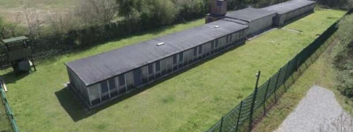 ISLAND FARM OPEN WEEKEND - JUNE 2024