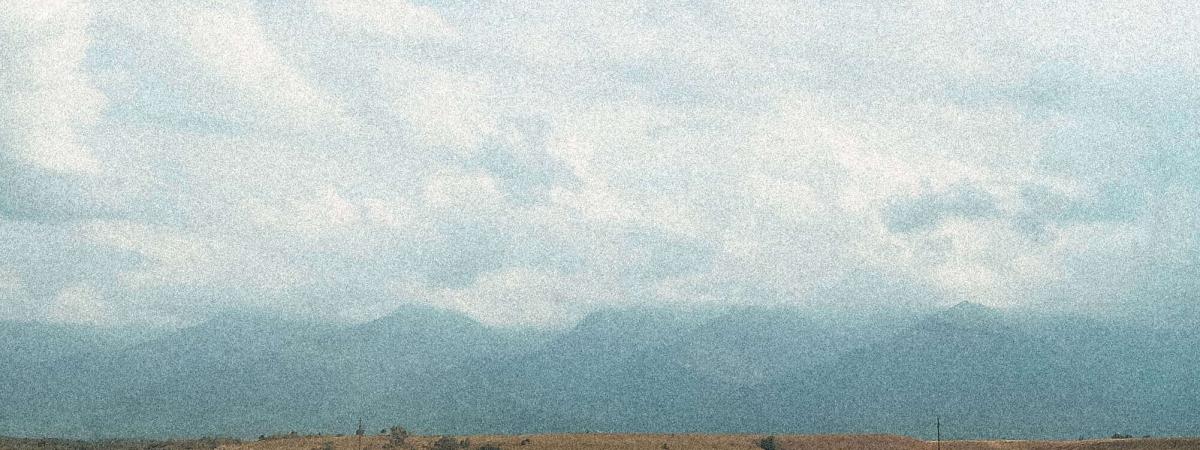 Harvest Now Essex 2024